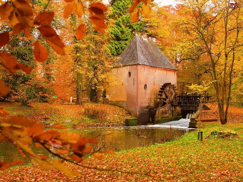 Paysage d'automne