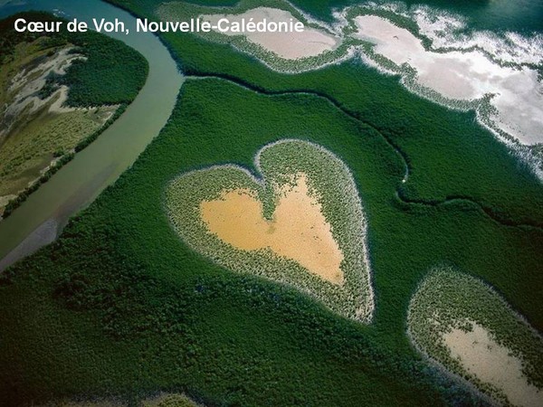 Paysage du monde - Coeur de Voh, Nouvelle-Calédonie